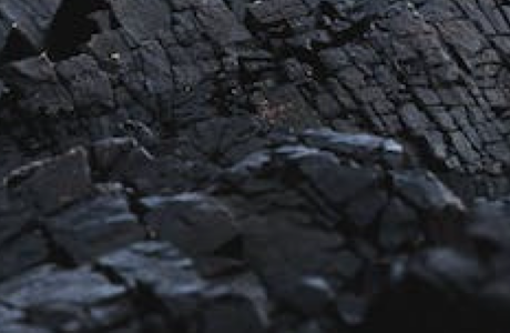 Coal